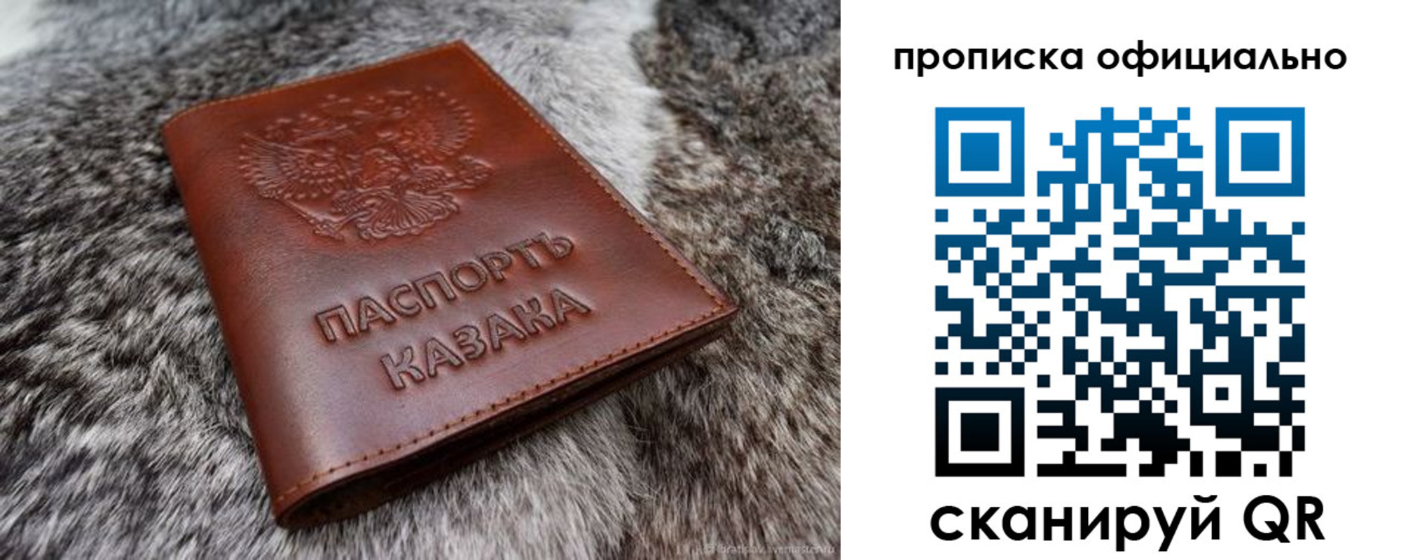 где прописаться в Борзе
